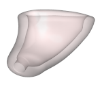 Folie Otoplastik