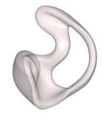 Ring Otoplastik