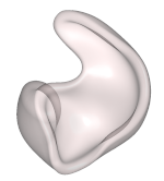 Schale Otoplastik
